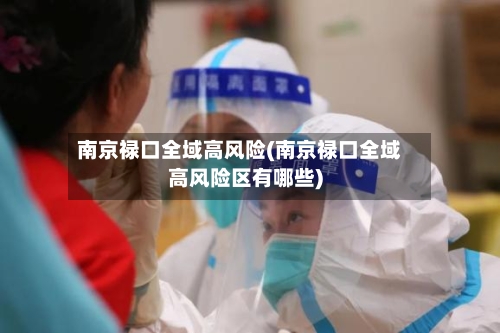 南京禄口全域高风险(南京禄口全域高风险区有哪些)-第2张图片