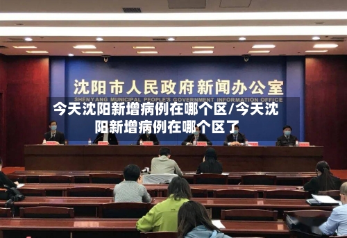 今天沈阳新增病例在哪个区/今天沈阳新增病例在哪个区了-第2张图片