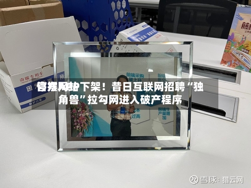 官方网站停摆APP下架！昔日互联网招聘“独角兽	”拉勾网进入破产程序-第2张图片