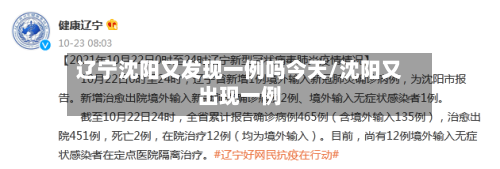 辽宁沈阳又发现一例吗今天/沈阳又出现一例-第2张图片