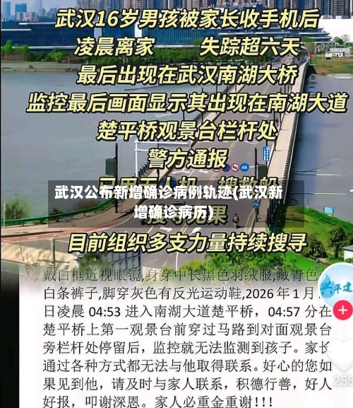 武汉公布新增确诊病例轨迹(武汉新增确诊病历)-第2张图片