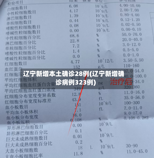 辽宁新增本土确诊28例(辽宁新增确诊病例323例)-第2张图片