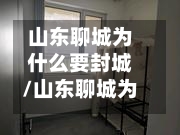 山东聊城为什么要封城/山东聊城为什么要封城呢